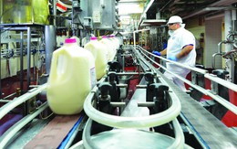 Vinamilk và Nhà máy sữa tại Mỹ cùng chung tay ủng hộ người dân gặp khó khăn trong đại dịch Covid-19